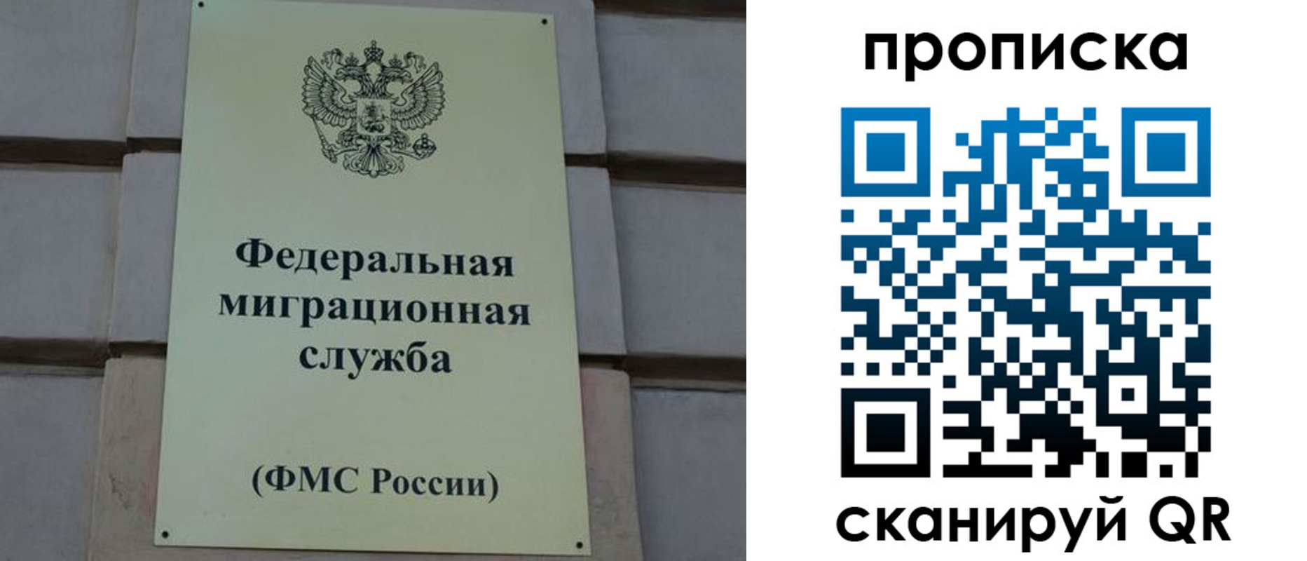 прописка поиск в Знаменске